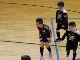 mini-IMG_5512